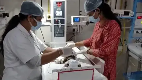 Baby Buried Alive in the Country Battles for Existence